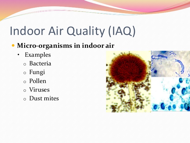 Biological Contamination of Indoor Air Quality