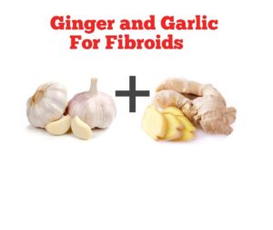 can ginger and garlic shrink fibroid can ginger and garlic shrink fibroid