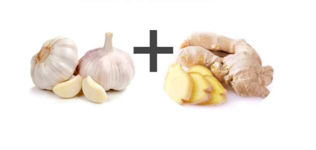 can ginger and garlic shrink fibroid can ginger and garlic shrink fibroid