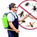 Advantages And Disadvantages Of Pest Control - Public Health