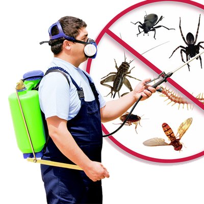 Commercial pest control 