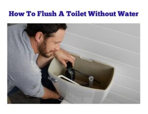 How To Flush a Toilet Without Water