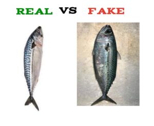 How To Identify Fake Titus Fish