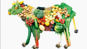 Why You Should Be a Vegetarian