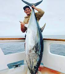 Fake Bluefin Tuna