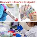 How Much Is DNA Test In Nigeria