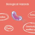 Which Food Safety Practice Will Help Prevent Biological Hazards