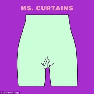 Ms. Curtains