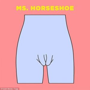 Ms. Horseshoe.jpg