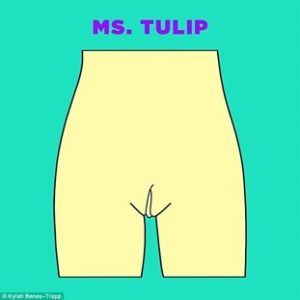 Ms. Tulip