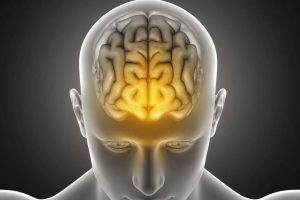 How to Boost Human Mental Function With Brain Stimulation