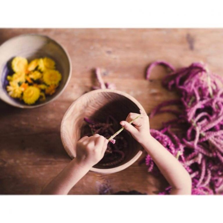 Why is Amaranth Dye Banned in the U.S.? Public Health