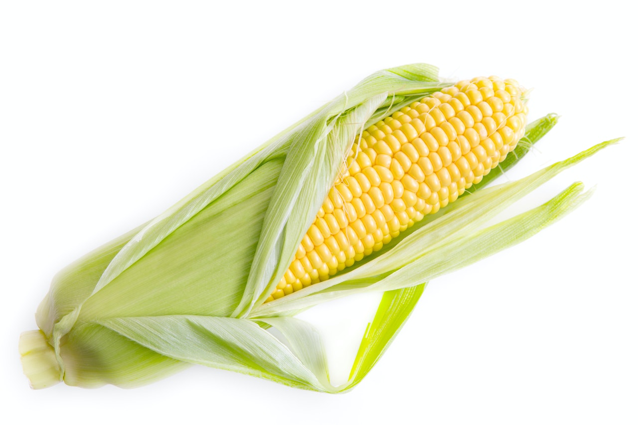 corn intolerance symptoms