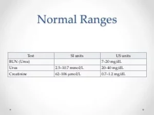 BUN/Creatinine Ratio Normal Range