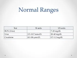 BUN/Creatinine Ratio Normal Range 