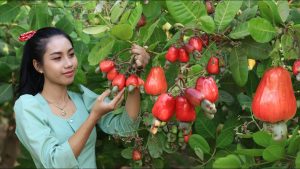Is Cashew Fruit Good For A Pregnant Women