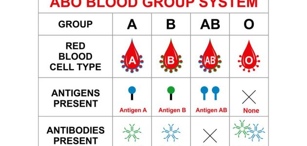 How Your Blood Increases Your Risk Of Developing Some Diseases