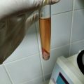 Can You Use 3 Day Old Urine For A Drug Test