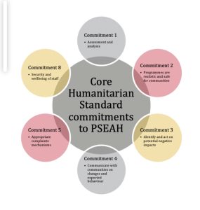 Protection from Sexual Exploitation, Abuse, and Harassment (PSEAH)