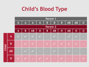 Do Siblings Have The Same Blood Type