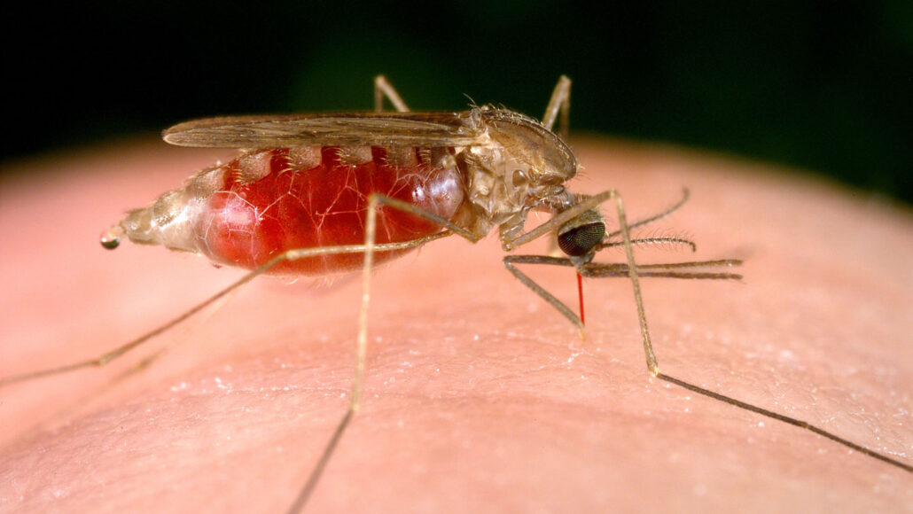 Nigeria Missing As 9 New African Countries Get Millions of Malaria Vaccines