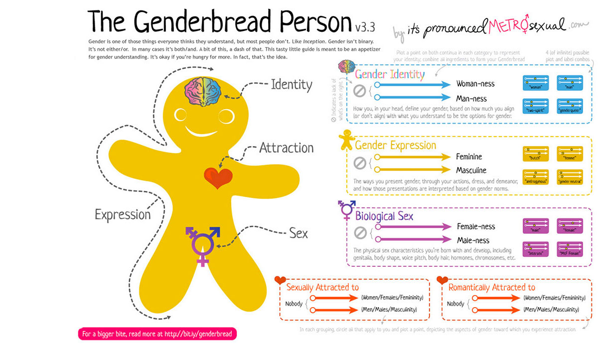 Genderbread Person