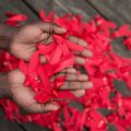 Wear your red ribbon this World AIDS Day