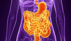 How to Reset Your Metabolism for Optimal Health